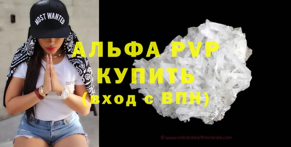 трава Пересвет
