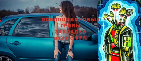 трава Пересвет