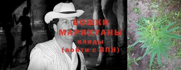 трава Пересвет