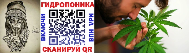 hydra ссылки  Бабаево  Шишки марихуана OG Kush 